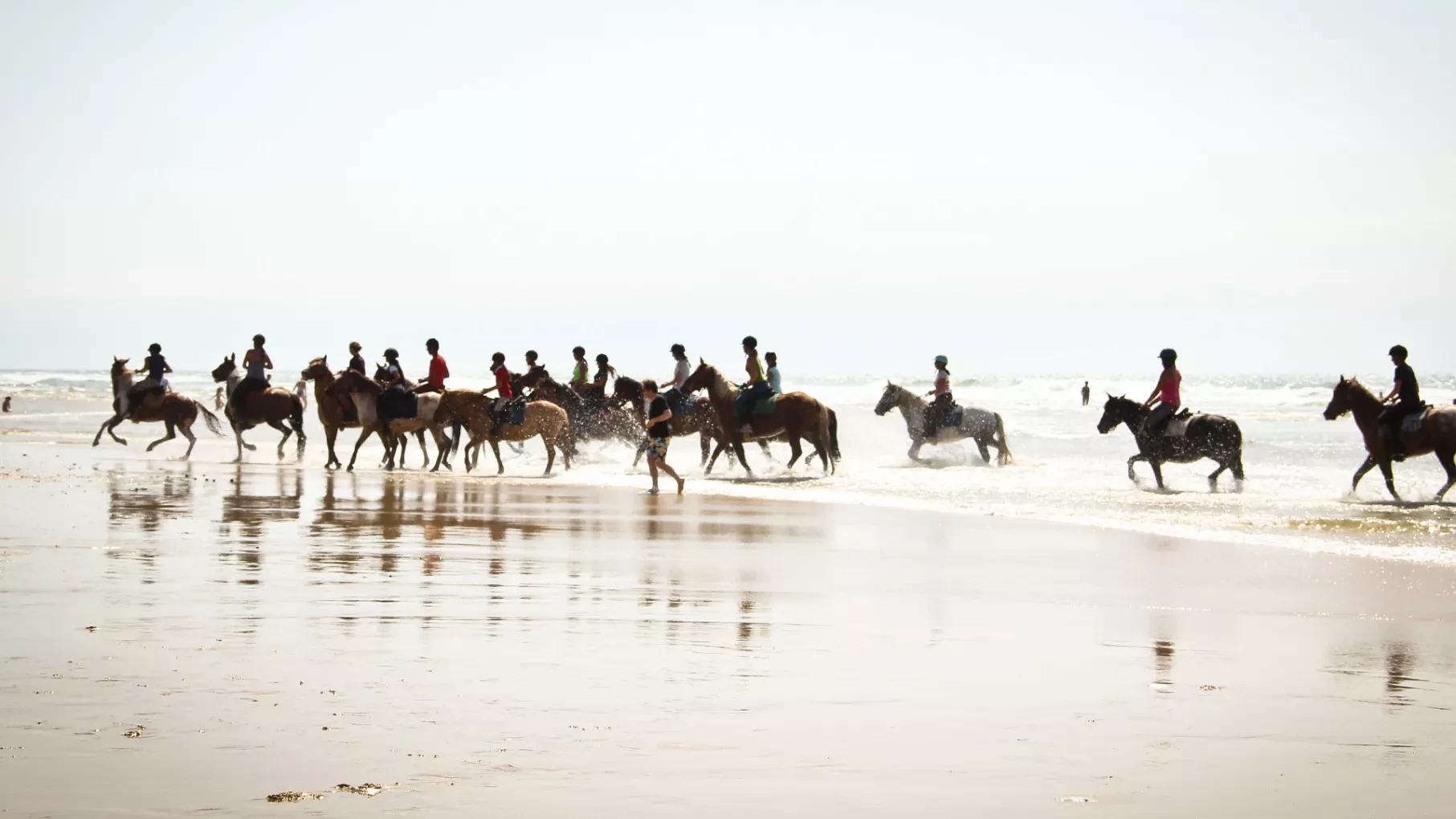 Camping Equitation
